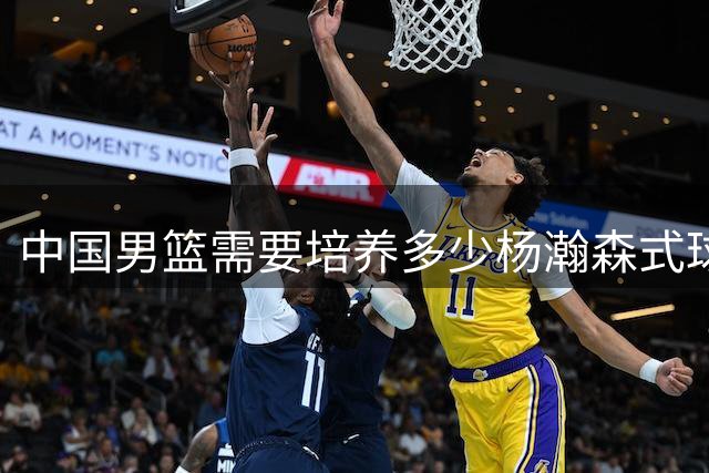 中国男篮需要培养多少杨瀚森式球员？