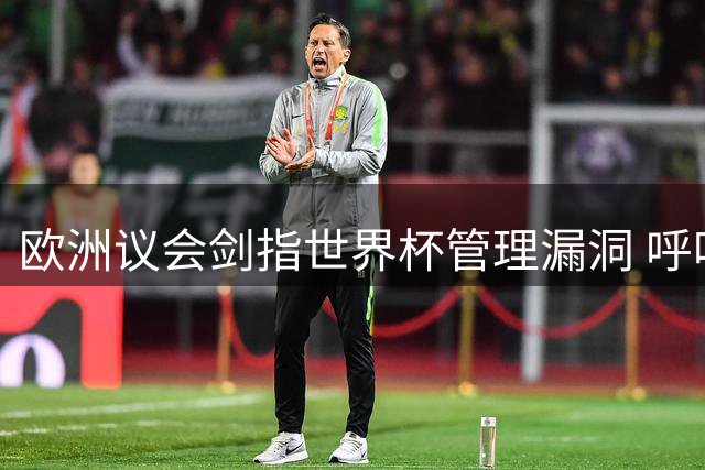 欧洲议会剑指世界杯管理漏洞 呼吁重塑国际足联公信力体系